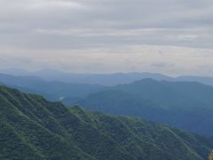 -王顺山国家森林公园