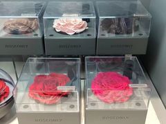 -ROSEONLY诺誓(国际广场购物中心店)