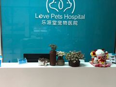 -乐派堂宠物医院·猫友好· 心脏科(东街店)