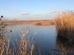 -野鸭湖国家湿地公园