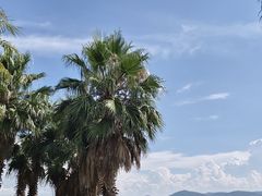 -水巷子·巴掌腰片重庆火锅(云纺店)