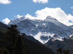 -黄龙山原始森林景区
