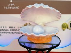 -贝壳王国博物馆
