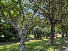 -福建鲤鱼洲酒店