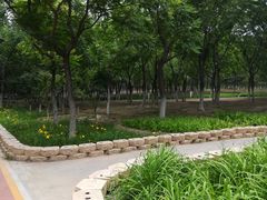 -大兴滨河森林公园