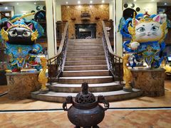 -more than meow吴止猫主题餐厅(承德 中船汇店)