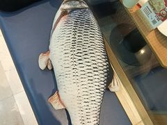 -大丰收脆鱼(万达江北店)