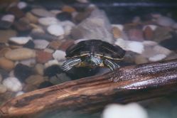 -酷嗒动物文化乐园(cutezoo西溪乐天城店)