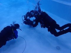 -上海潜殿潜水中心