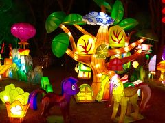 -南宫温泉水世界