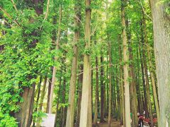 -棒棰岛宾馆景区