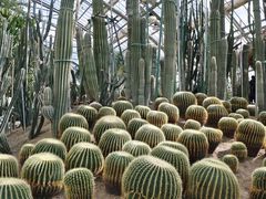 -南山植物园