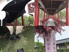 -南汇桃花村