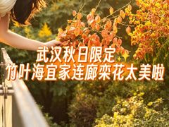 -武汉荟聚