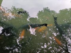 -杭州植物园