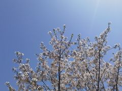 -苏州上方山国家森林公园