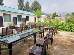 -Sultan pakistan苏单巴基斯坦