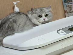 -谐和益家动物医院·免疫绝育·血液透析·宠保定点医院(高新伊藤分院)