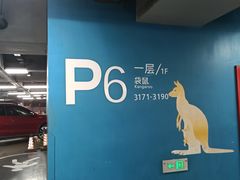 -虹桥综合交通枢纽-P6停车库