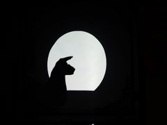 -盖碗儿梨园·变脸吐火·川剧(天府广场店)