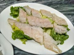 -金砂阿洲鱼册店