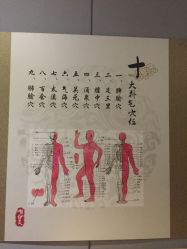 -唯伊美塑身美养连锁