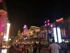 -拉斯维加斯O秀
