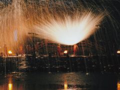 -芜湖新华联大白鲸海洋公园