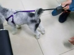 -宠颐生中康贝怡动物医院