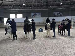 -中加枫华国际学校