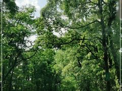 -南山植物园