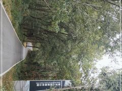 -青龙山国家森林公园