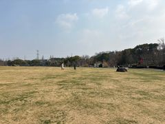 -昆山城市生态森林公园