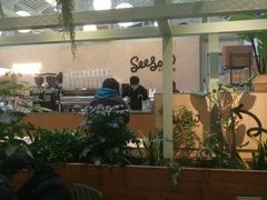 -Seesaw Coffee(上海太阳宫K46店)