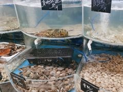 -鑫渔港海鲜本地菜·山海关浑锅(东戴河店)