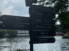 -荔湾湖公园