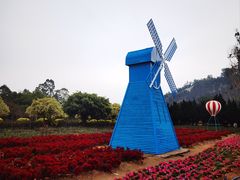 -南沙蒲洲花园