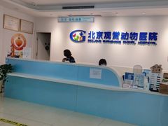 -北京观赏动物医院·24小时大型综合·猫专科·异宠专科
