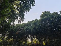 -河南省黄河迎宾馆