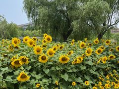 -维吾尔餐厅(宜山路店)