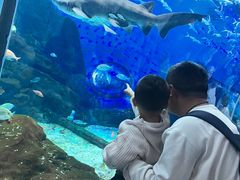 -海合安武汉极地海洋公园