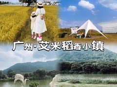 -艾米稻香小镇