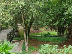 -中国科学院西双版纳热带植物园