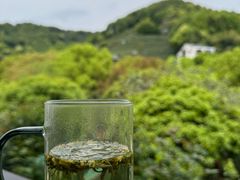 -阿巧茶庄