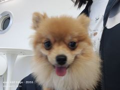 -怪兽屋·羊驼·猫咖·狗咖(俊华广场店)