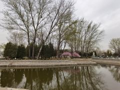-北京世界公园