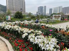 -龙环葡韵住宅式博物馆