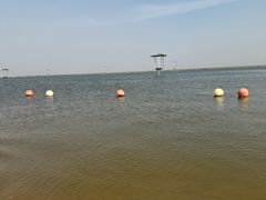 -碧海金沙