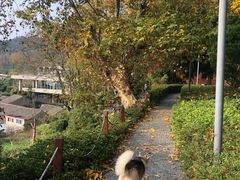 -东钱湖旅游度假区