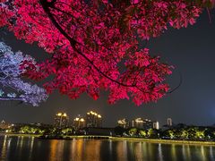 -宁波大剧院